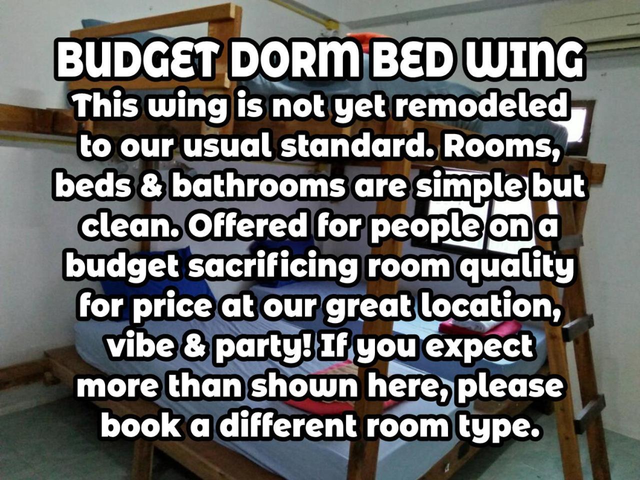 Wild & Wandering Backpacker Hostel & Bar Haad Rin Oda fotoğraf